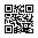 QR CODE 737