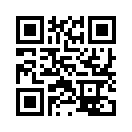 QR CODE 856
