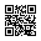QR CODE 868