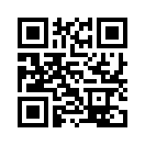 QR CODE 913