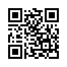 QR CODE 329