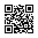 QR CODE 494