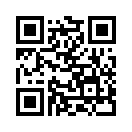 QR CODE 501