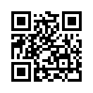QR CODE 528