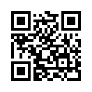 QR CODE 529