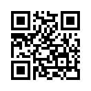 QR CODE 529