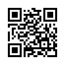 QR CODE 533