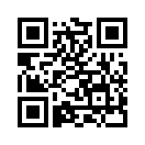 QR CODE 538
