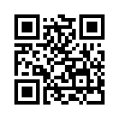 QR CODE 568