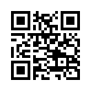 QR CODE 110
