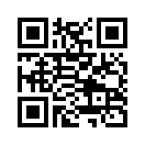 QR CODE 133