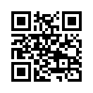 QR CODE 228