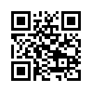 QR CODE 31