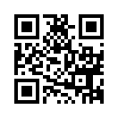 QR CODE 316