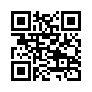 QR CODE 317
