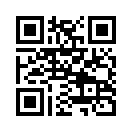 QR CODE 329