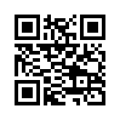 QR CODE 336