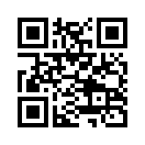 QR CODE 394