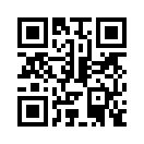 QR CODE 42