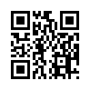 QR CODE 425