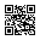 QR CODE 492