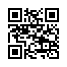 QR CODE 501