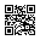 QR CODE 519