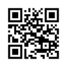 QR CODE 53