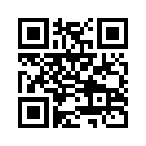 QR CODE 538