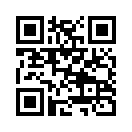 QR CODE 584