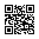 QR CODE 677
