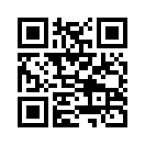 QR CODE 734