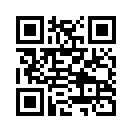 QR CODE 737
