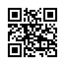 QR CODE 838