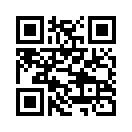 QR CODE 856
