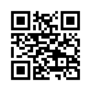 QR CODE 863