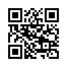 QR CODE 869