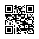 QR CODE 877