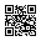 QR CODE 878