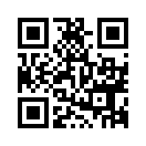QR CODE 881