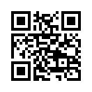 QR CODE 883