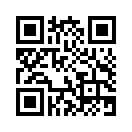 QR CODE 110
