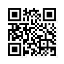 QR CODE 133