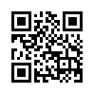 QR CODE 17