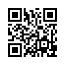 QR CODE 316