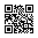 QR CODE 317