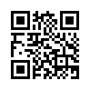QR CODE 329