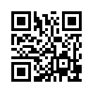 QR CODE 336