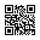 QR CODE 394