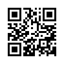 QR CODE 447